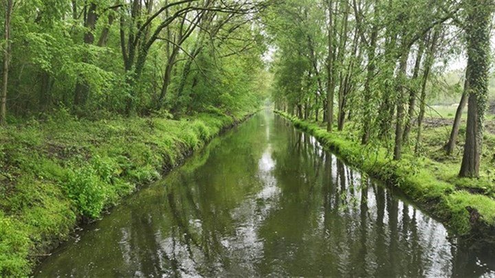 geleenbeek_schinnen-terborghtim_breedbeeld (Breedbeeld)