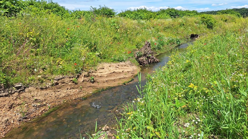 Hemelbeek (Breedbeeld)