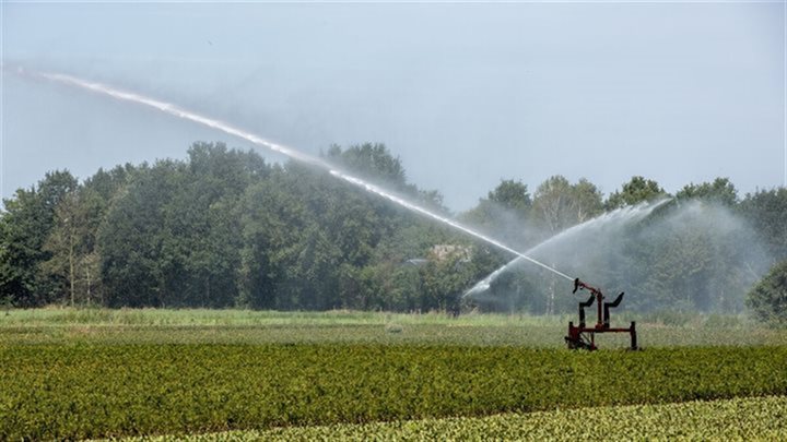 droogte_beregenen1_header (Breedbeeld)